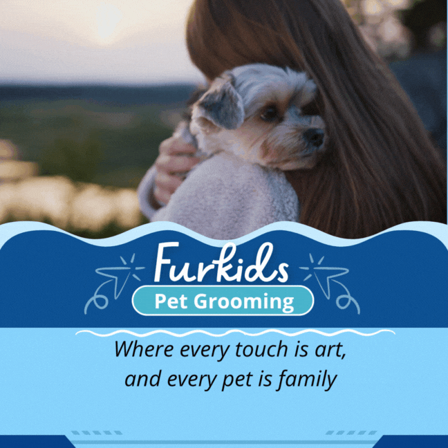 Furkids Pet Grooming