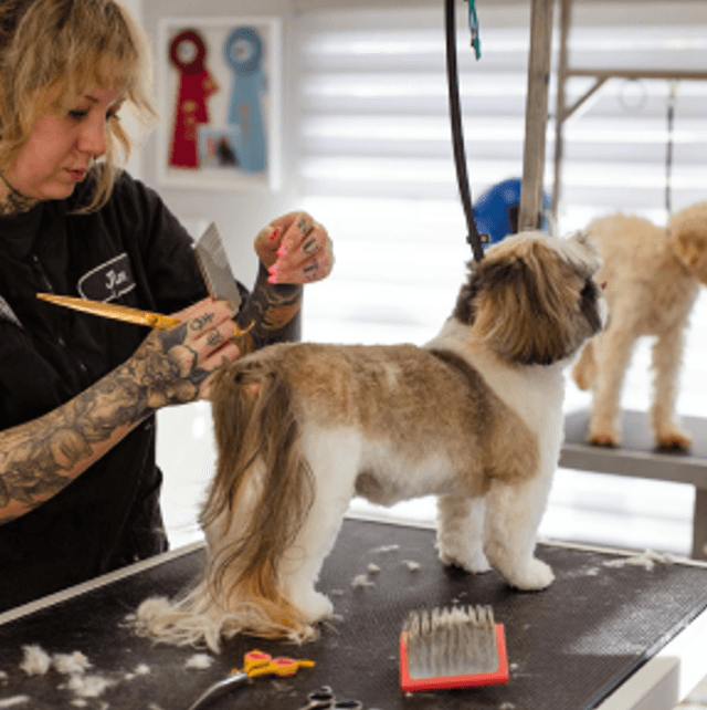 groomers